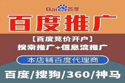 某品牌通过SEM优化实现品牌增长的故事